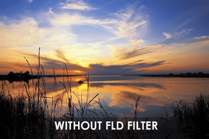 FLD Camera Lens Filter - Camera Drop