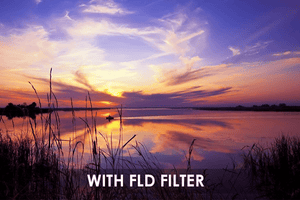 FLD Camera Lens Filter - Camera Drop